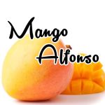 MANGO ALFONSO ForIce